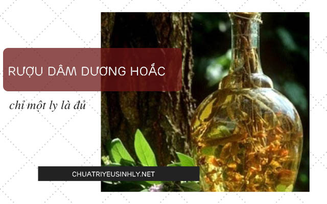 cách chữa yếu sinh lý dân gian - rượu dâm dương hoắc