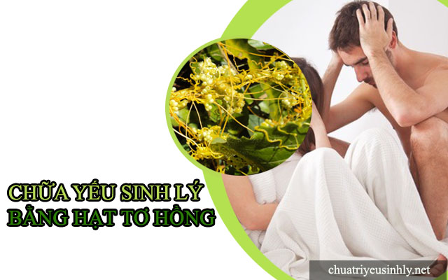 cách chữa bệnh yếu sinh lý bằng hạt dây tơ hồng