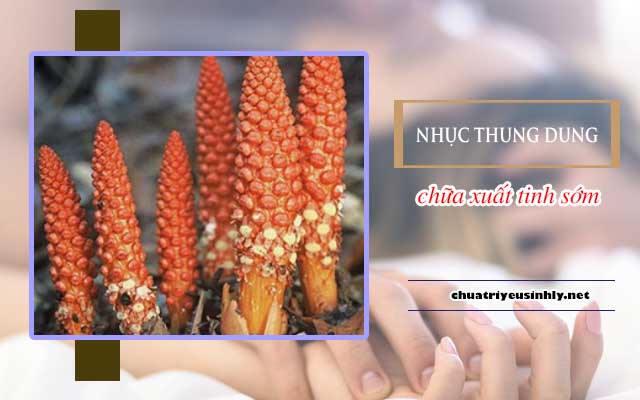 thảo dược trị xuất tinh sớm hiệu quả