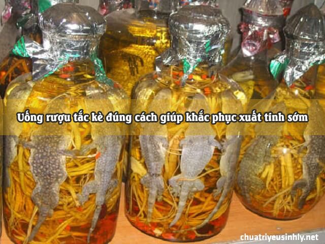 Uống rượu tắc kè đúng cách giúp khắc phục xuất tinh sớm