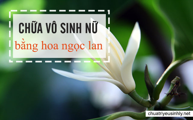 hoa ngọc lan chữa vô sinh nữ