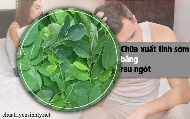 Cách chữa xuất tinh sớm bằng rau ngót