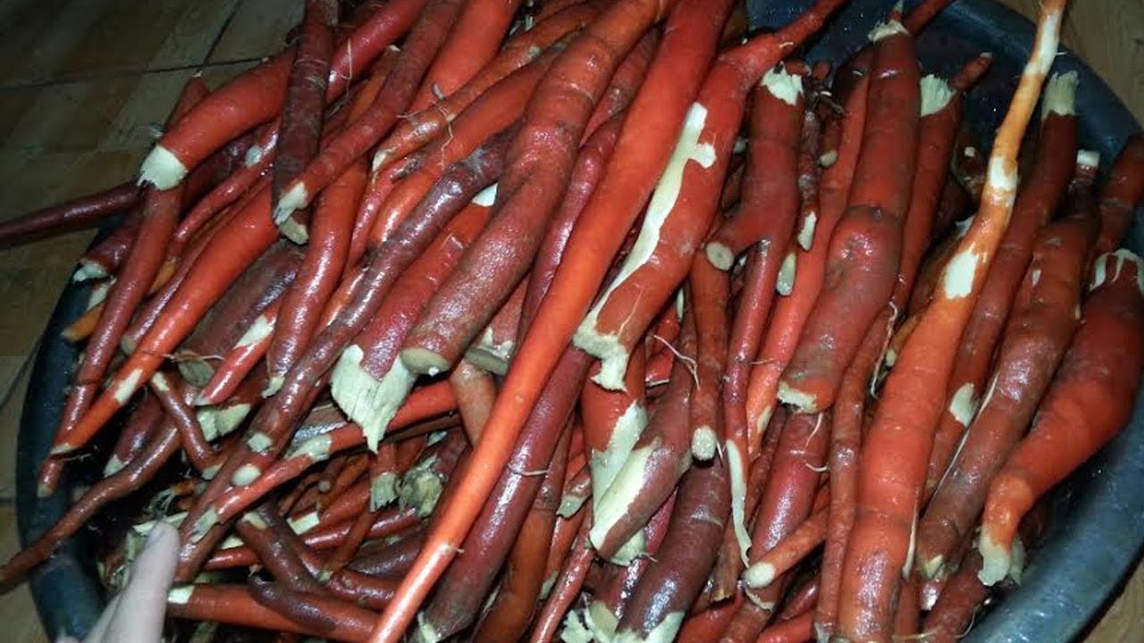 Thuốc chữa bệnh yếu sinh lý ở nam giới từ rễ cau treo