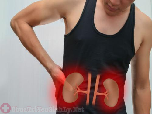 Bị thận yếu nên uống thuốc gì để điều trị?