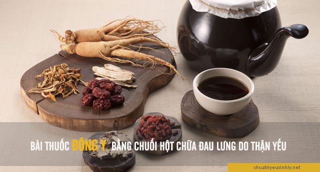 bài thuốc đông y chữa thận yếu gây đau lưng