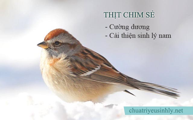 Chữa yếu sinh lý ở nam giới bằng thịt chim sẻ