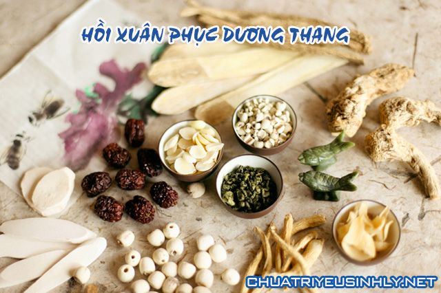 Hồi xuân phục dương thang là bài thuốc chữa rối loạn cương dương nổi tiếng của dòng họ Đỗ Minh