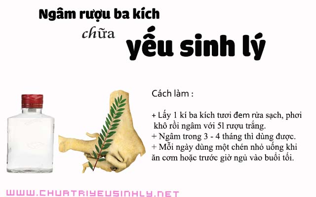 Cách chữa bệnh yếu sinh lý ở nam giới bằng rượu ba kích
