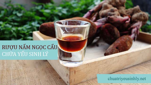 Cách chữa yếu sinh lý bằng rượu nấm ngọc cẩu