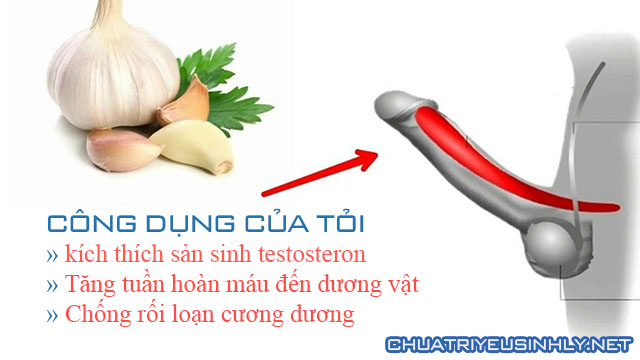 Cách chữa rối loạn cương dương bằng tỏi