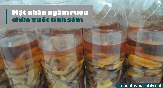 Bài thuốc nam chữa xuất tinh sớm từ mật nhân 