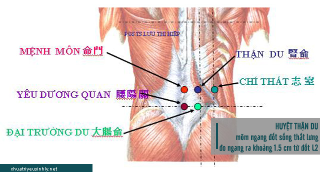 chữa yếu sinh lý bằng cách bấm huyệt thận du