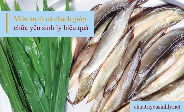 cá chạch là thức ăn chữa yếu sinh lý nam hiệu quả