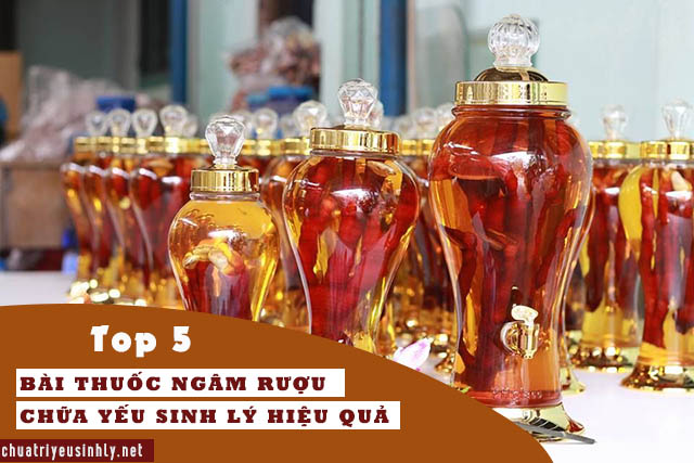 Bài thuốc ngâm rượu chữa yếu sinh lý