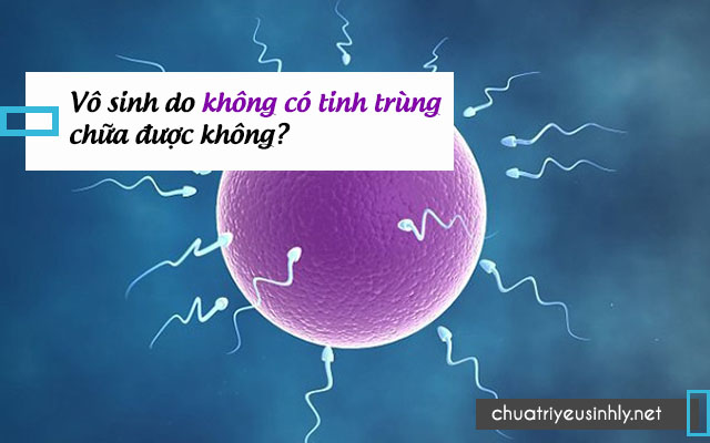 Chữa vô sinh nam không có tinh trùng