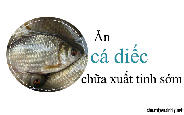 chữa xuất tinh sớm với món ăn từ cá diếc