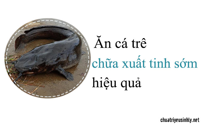 Chữa xuất tinh sớm với món ăn từ cá trê