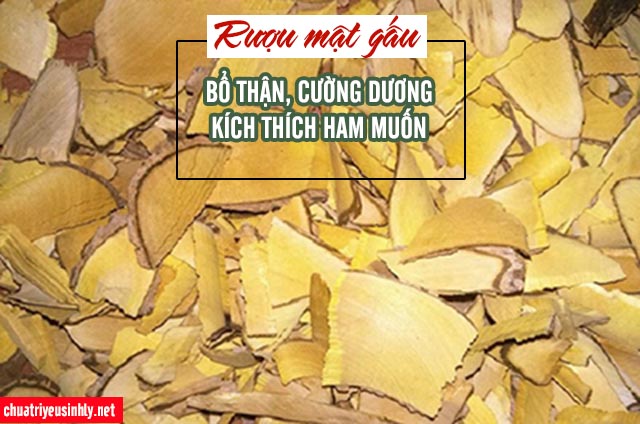 bài thuốc rượu cường dương từ mật gấu