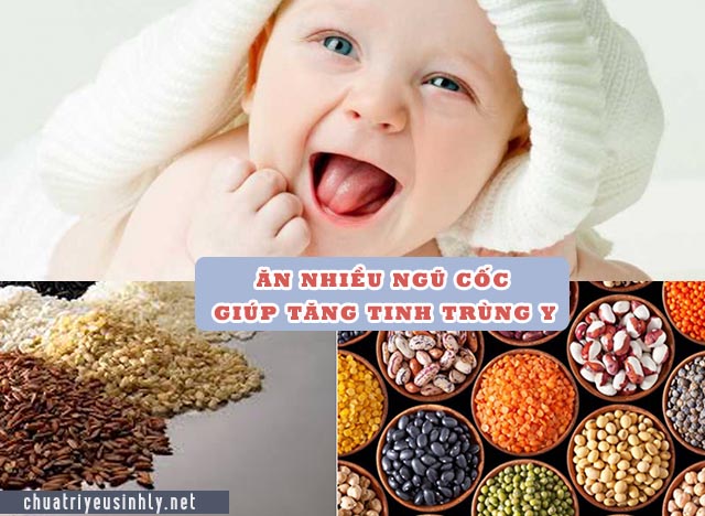 ăn gì để sản sinh nhiều tinh trùng y