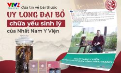 VTV2 khẳng định Uy Long Đại Bổ là bài thuốc nam chữa yếu sinh lý hiệu quả