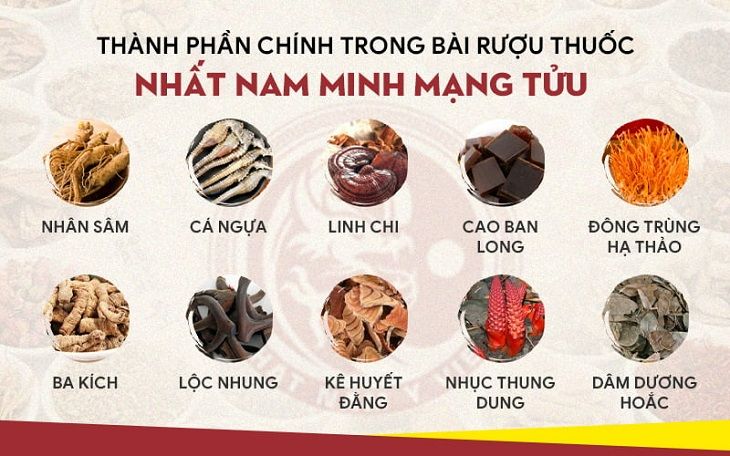 Thành phần dược liệu trong bài rượu thuốc