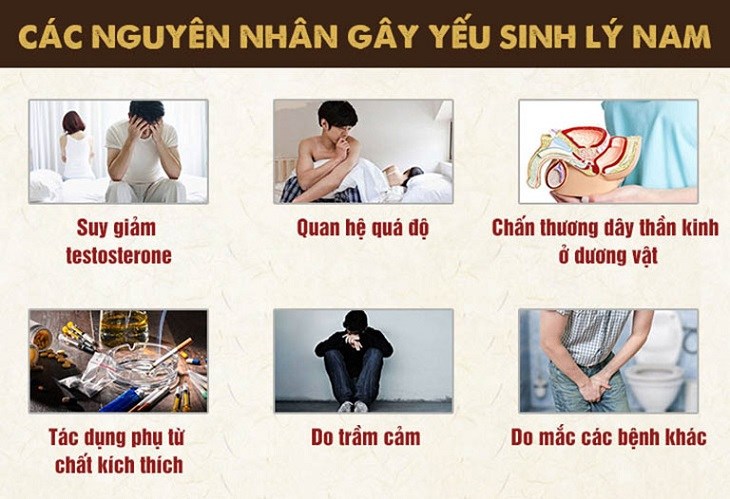 Nguyên nhân gây ra tình trạng yếu sinh lý