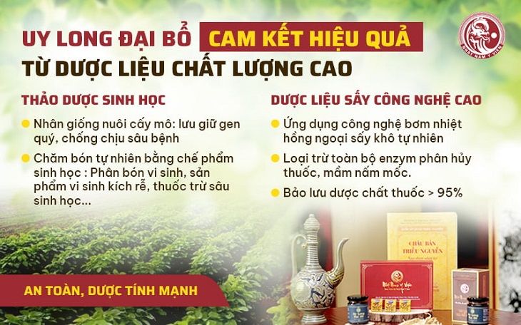 Nguồn dược liệu của bài thuốc Uy Long Đại Bổ đều được tuyển chọn từ thảo dược chất lượng cao